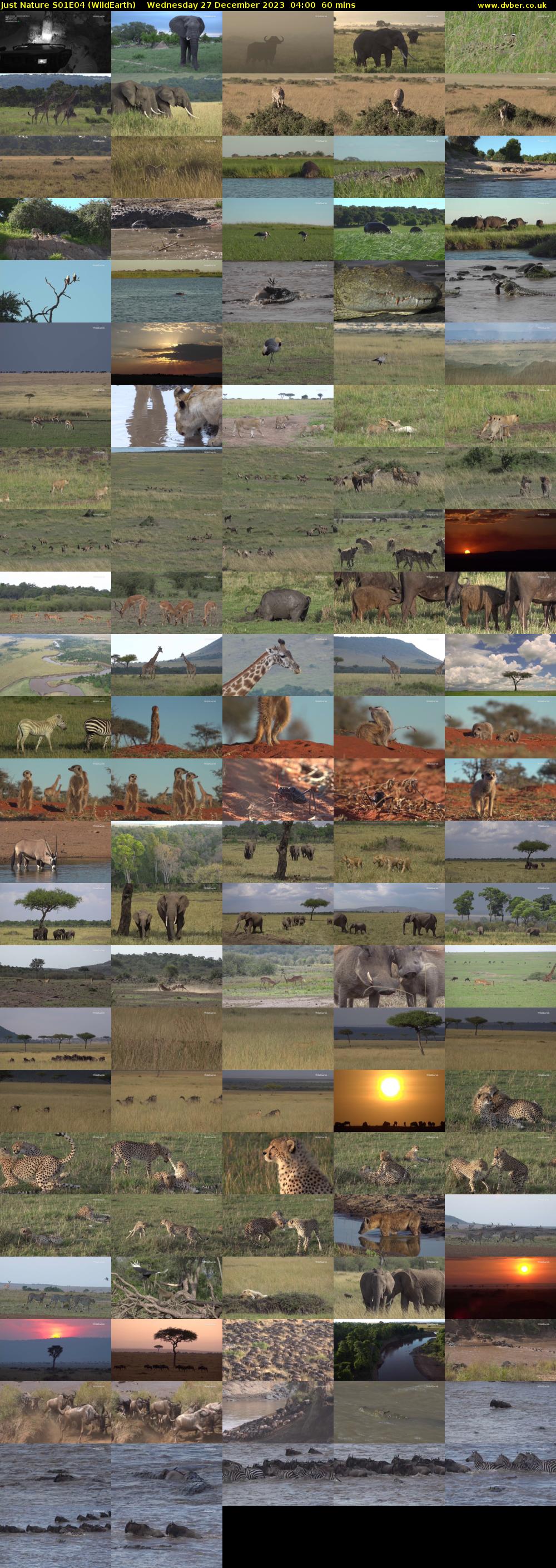 Just Nature S01E04 (WildEarth) Wednesday 27 December 2023 04:00 - 05:00