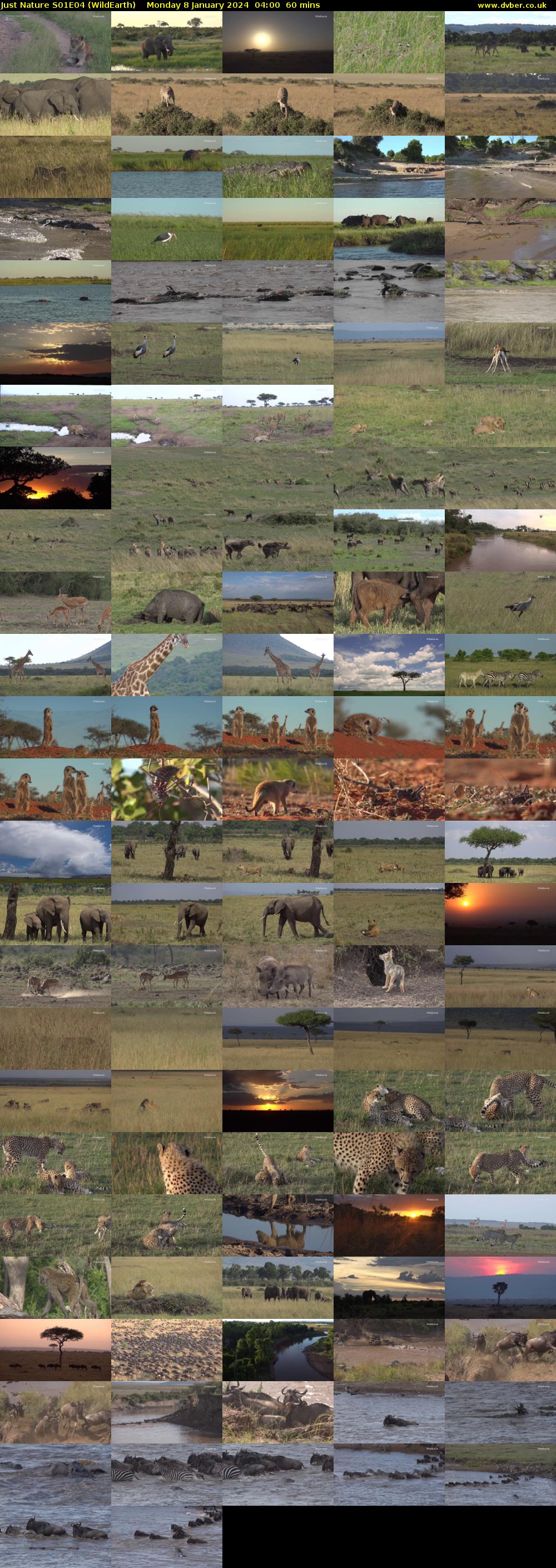 Just Nature S01E04 (WildEarth) Monday 8 January 2024 04:00 - 05:00