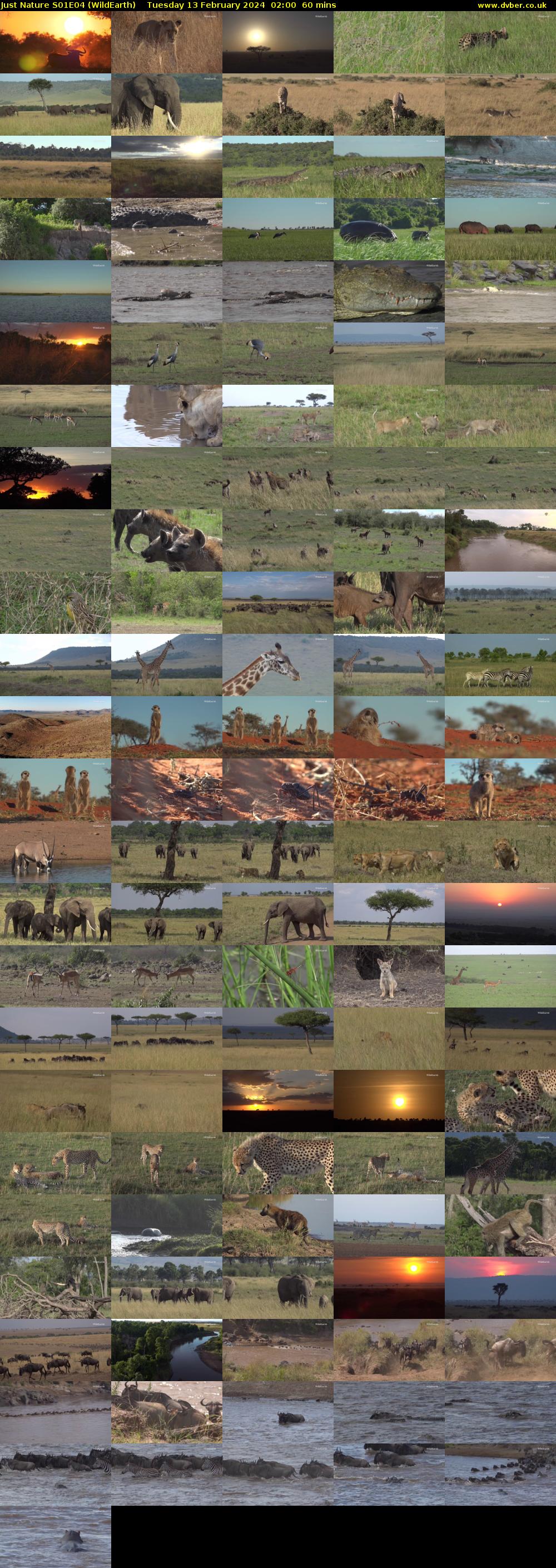 Just Nature S01E04 (WildEarth) Tuesday 13 February 2024 02:00 - 03:00