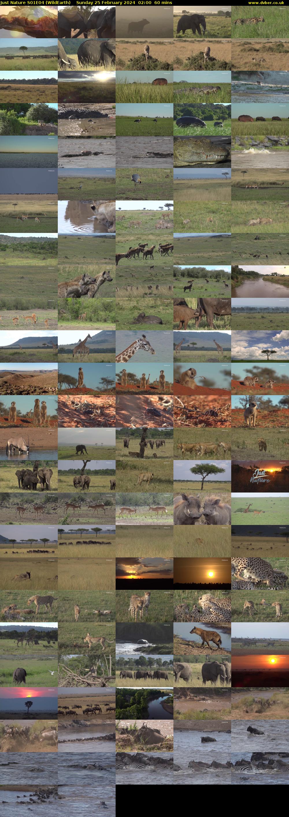 Just Nature S01E04 (WildEarth) Sunday 25 February 2024 02:00 - 03:00