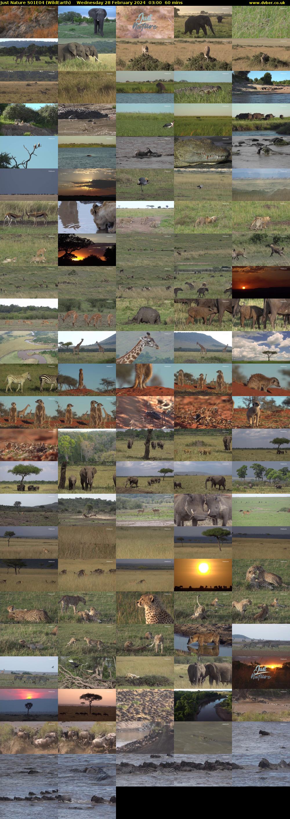 Just Nature S01E04 (WildEarth) Wednesday 28 February 2024 03:00 - 04:00