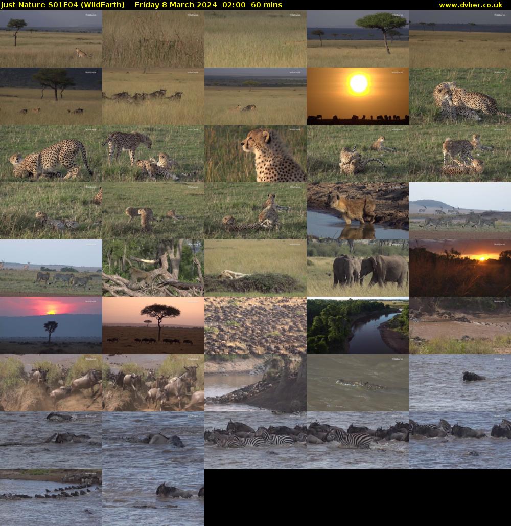 Just Nature S01E04 (WildEarth) Friday 8 March 2024 02:00 - 03:00