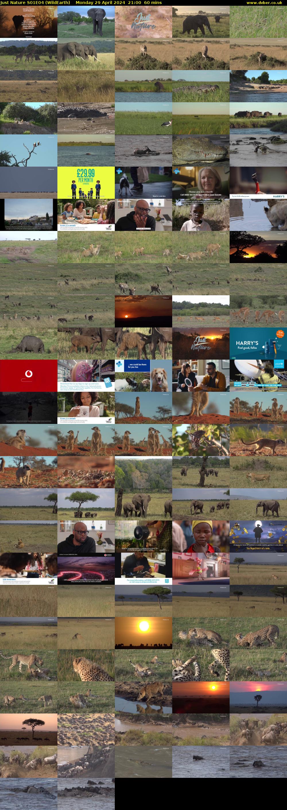 Just Nature S01E04 (WildEarth) Monday 29 April 2024 21:00 - 22:00