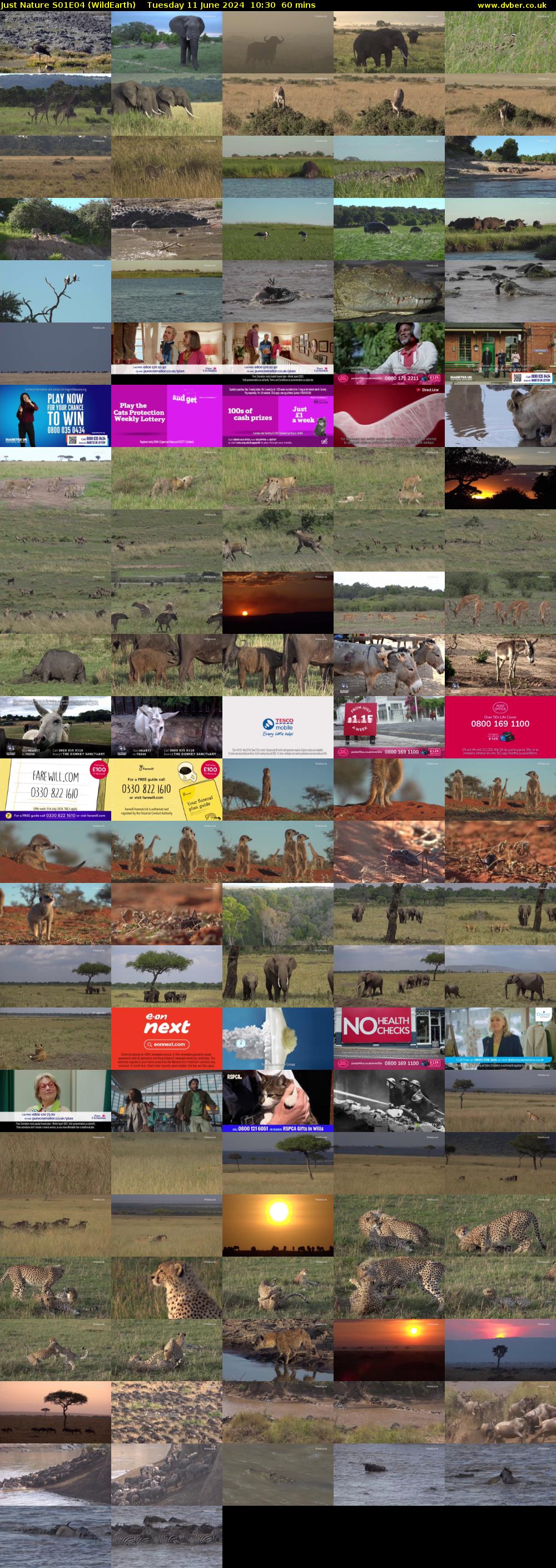 Just Nature S01E04 (WildEarth) Tuesday 11 June 2024 10:30 - 11:30