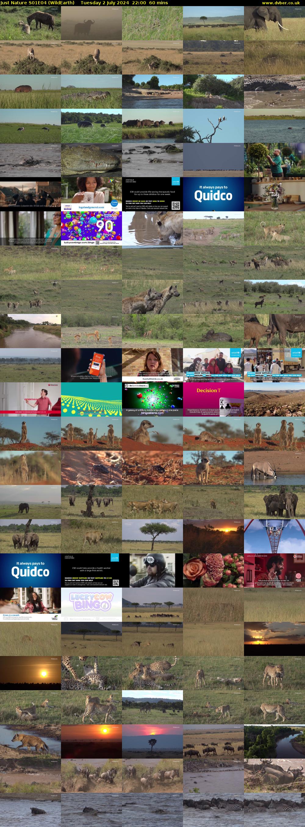 Just Nature S01E04 (WildEarth) Tuesday 2 July 2024 22:00 - 23:00