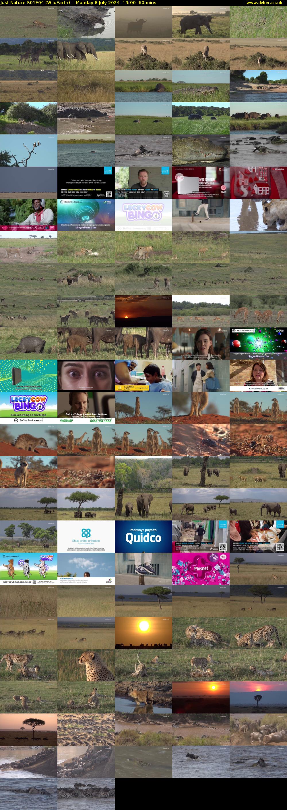 Just Nature S01E04 (WildEarth) Monday 8 July 2024 19:00 - 20:00