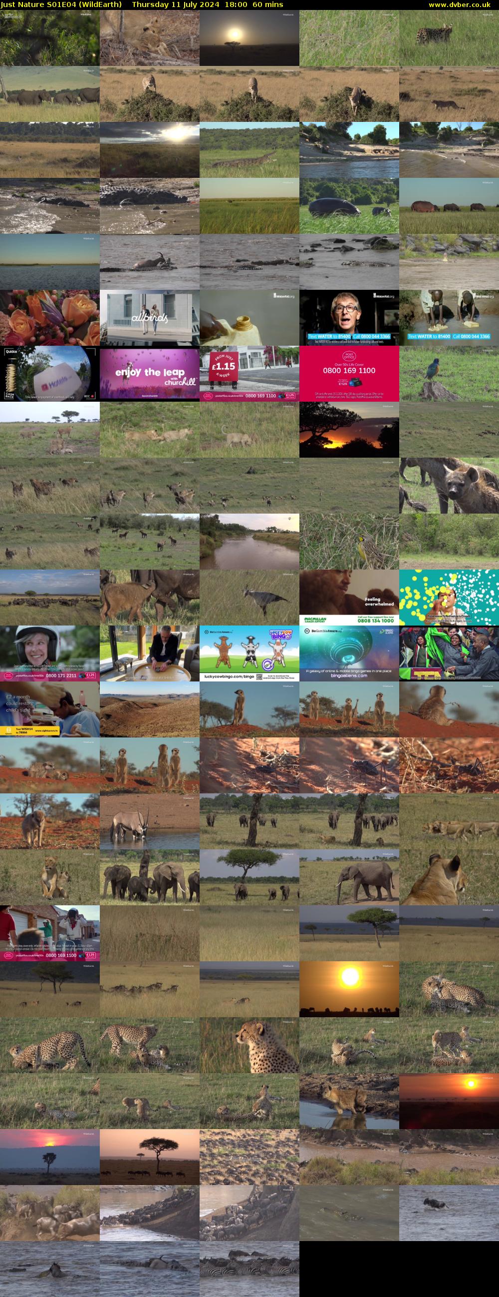 Just Nature S01E04 (WildEarth) Thursday 11 July 2024 18:00 - 19:00