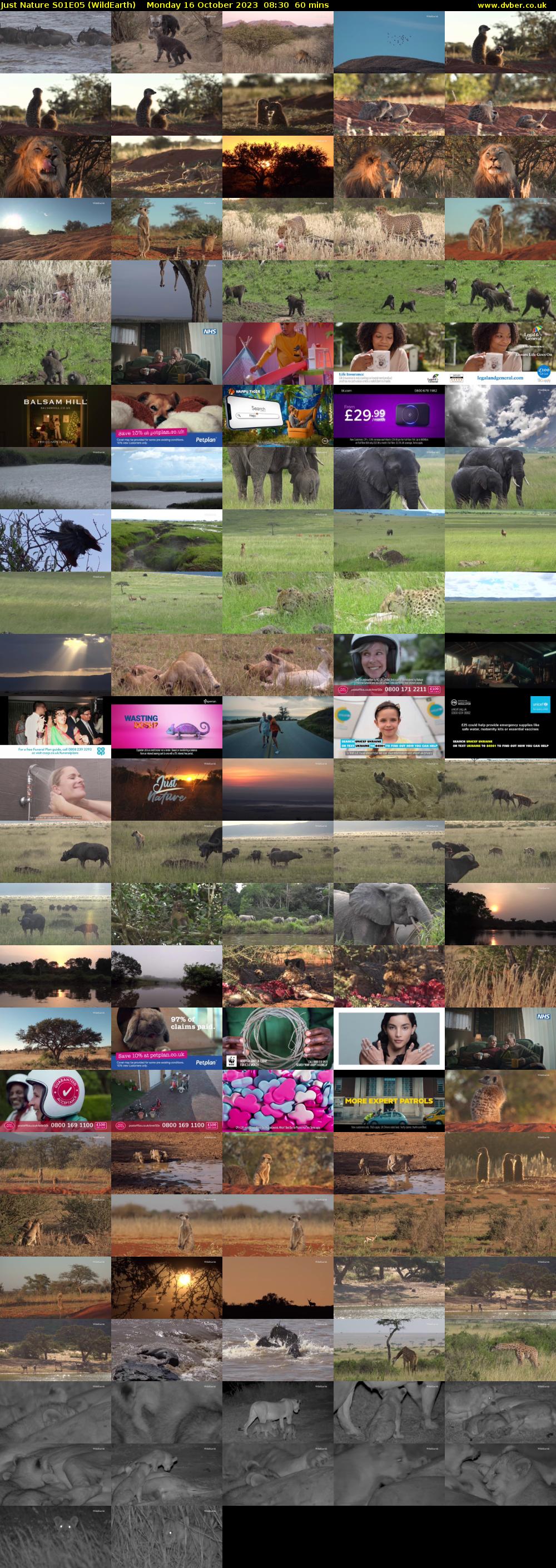 Just Nature S01E05 (WildEarth) Monday 16 October 2023 08:30 - 09:30