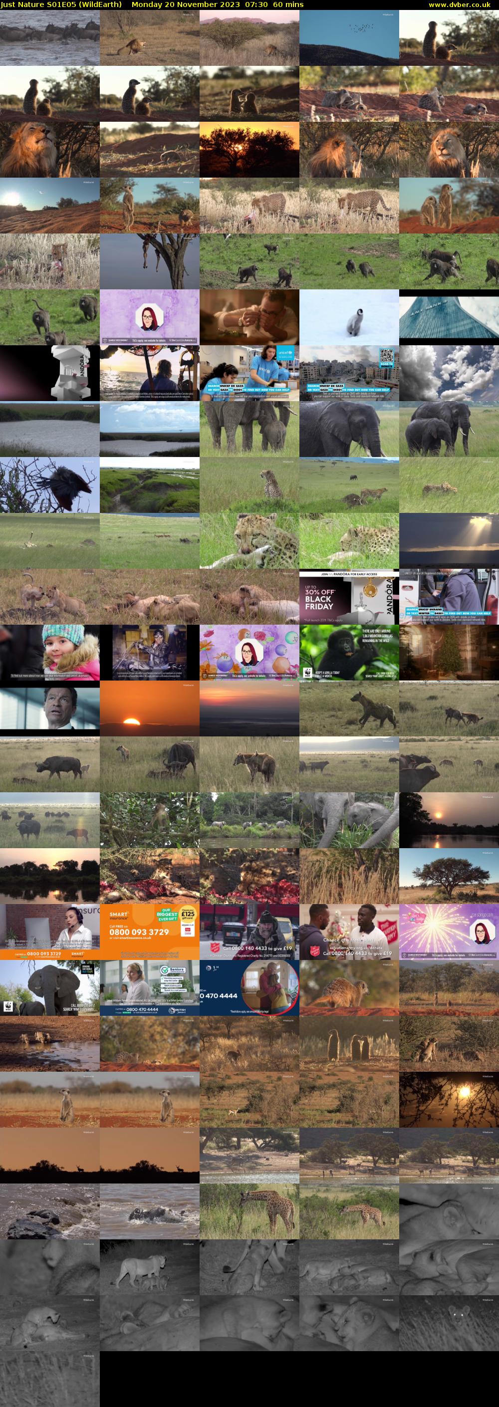 Just Nature S01E05 (WildEarth) Monday 20 November 2023 07:30 - 08:30