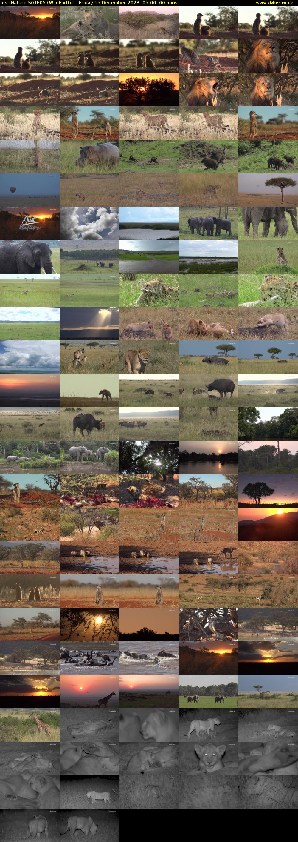 Just Nature S01E05 (WildEarth) Friday 15 December 2023 05:00 - 06:00