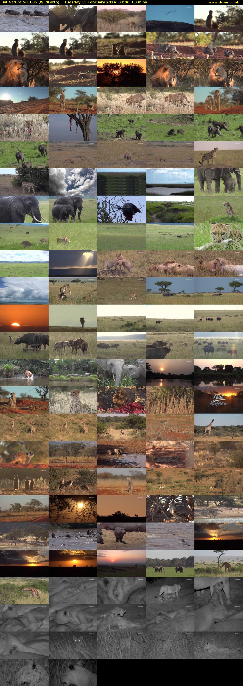 Just Nature S01E05 (WildEarth) Tuesday 13 February 2024 03:00 - 04:00