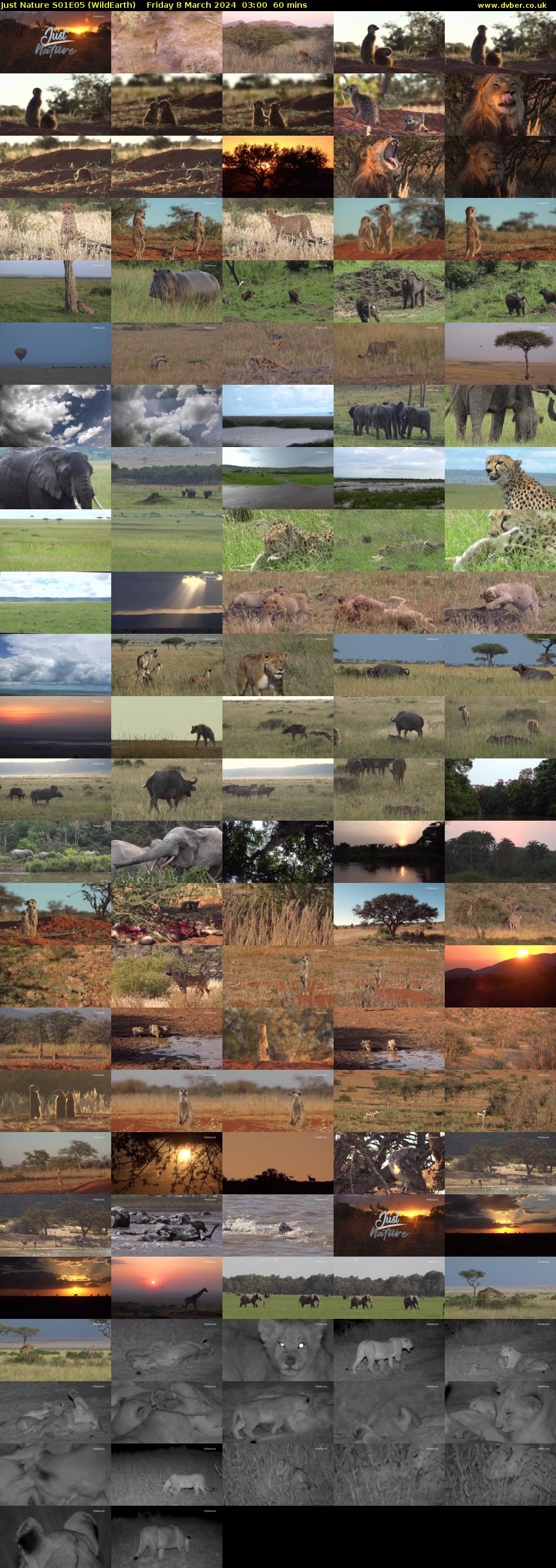 Just Nature S01E05 (WildEarth) Friday 8 March 2024 03:00 - 04:00