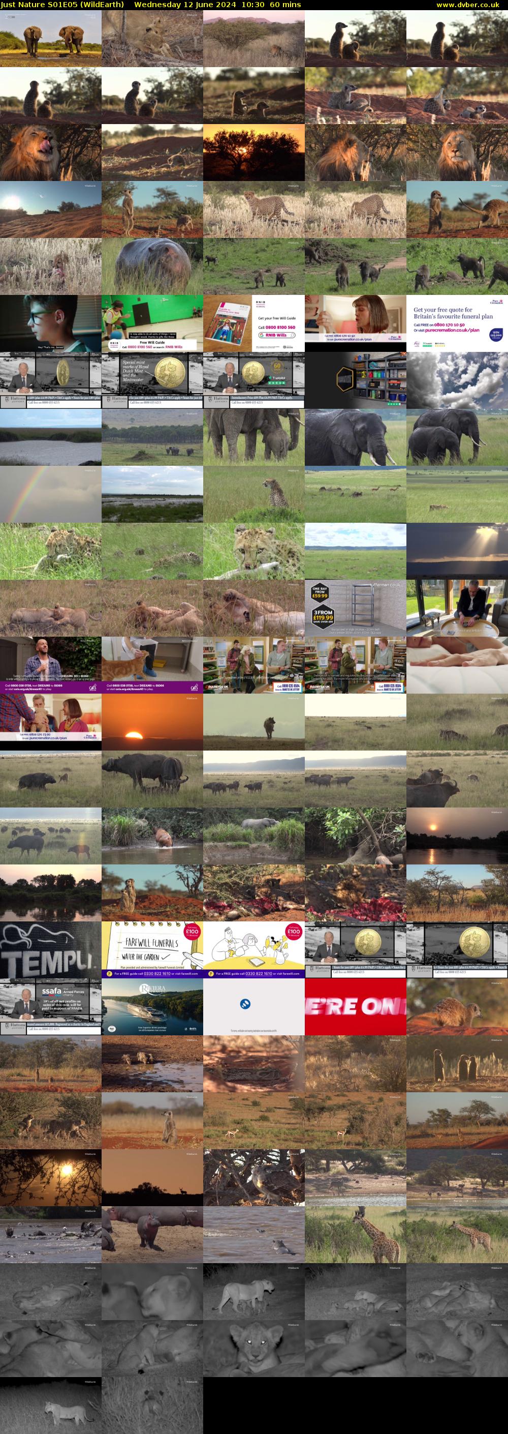 Just Nature S01E05 (WildEarth) Wednesday 12 June 2024 10:30 - 11:30