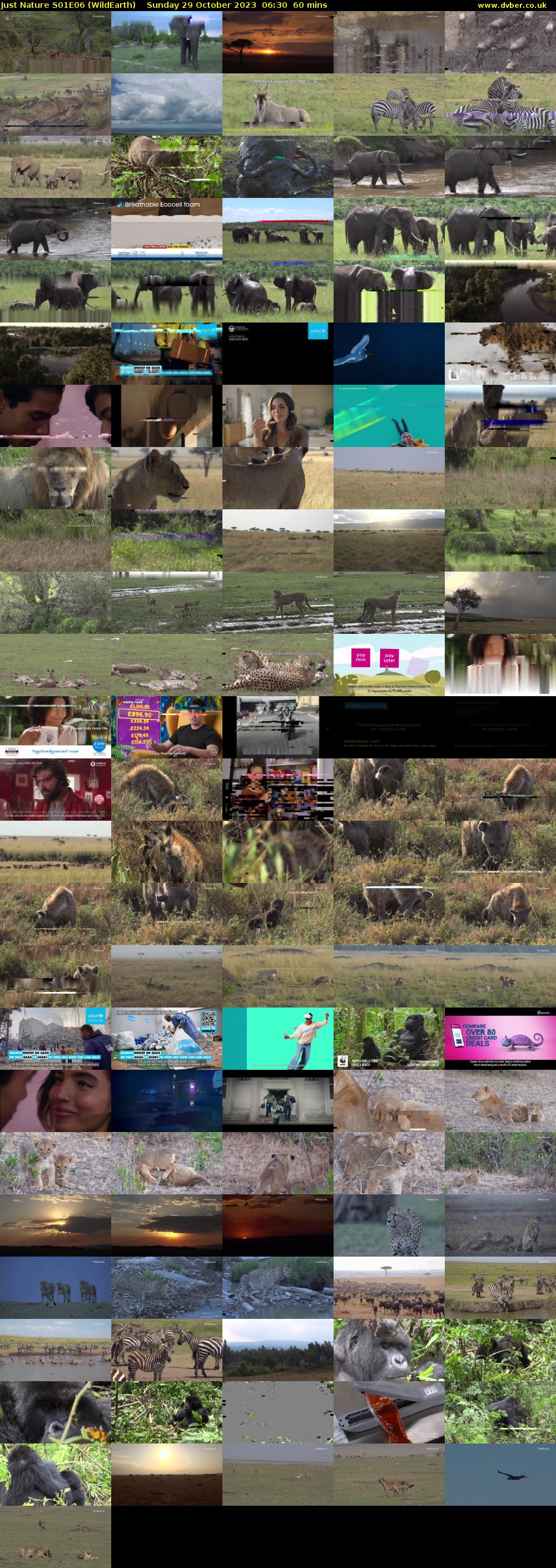 Just Nature S01E06 (WildEarth) Sunday 29 October 2023 06:30 - 07:30