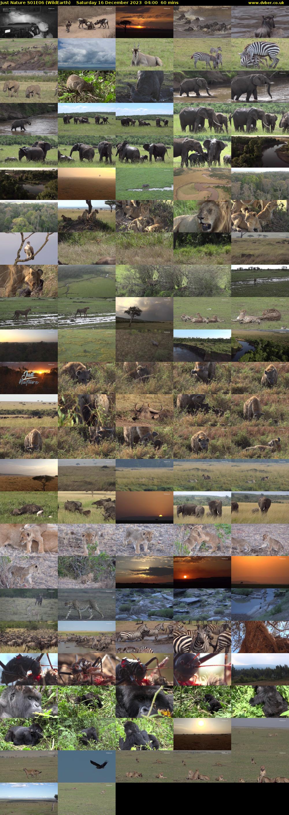 Just Nature S01E06 (WildEarth) Saturday 16 December 2023 04:00 - 05:00