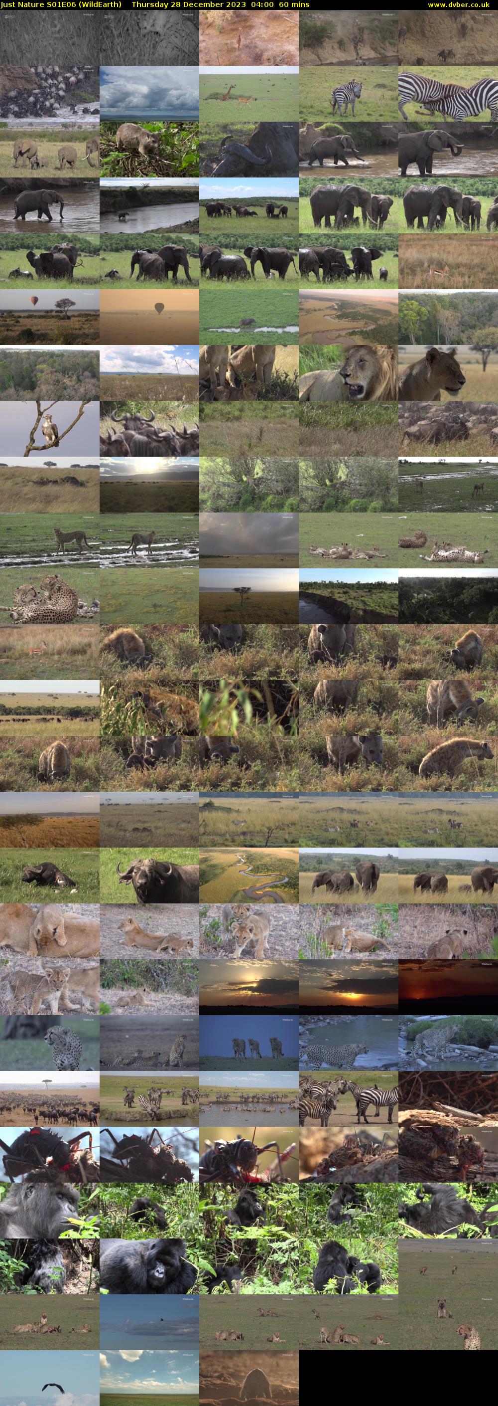 Just Nature S01E06 (WildEarth) Thursday 28 December 2023 04:00 - 05:00