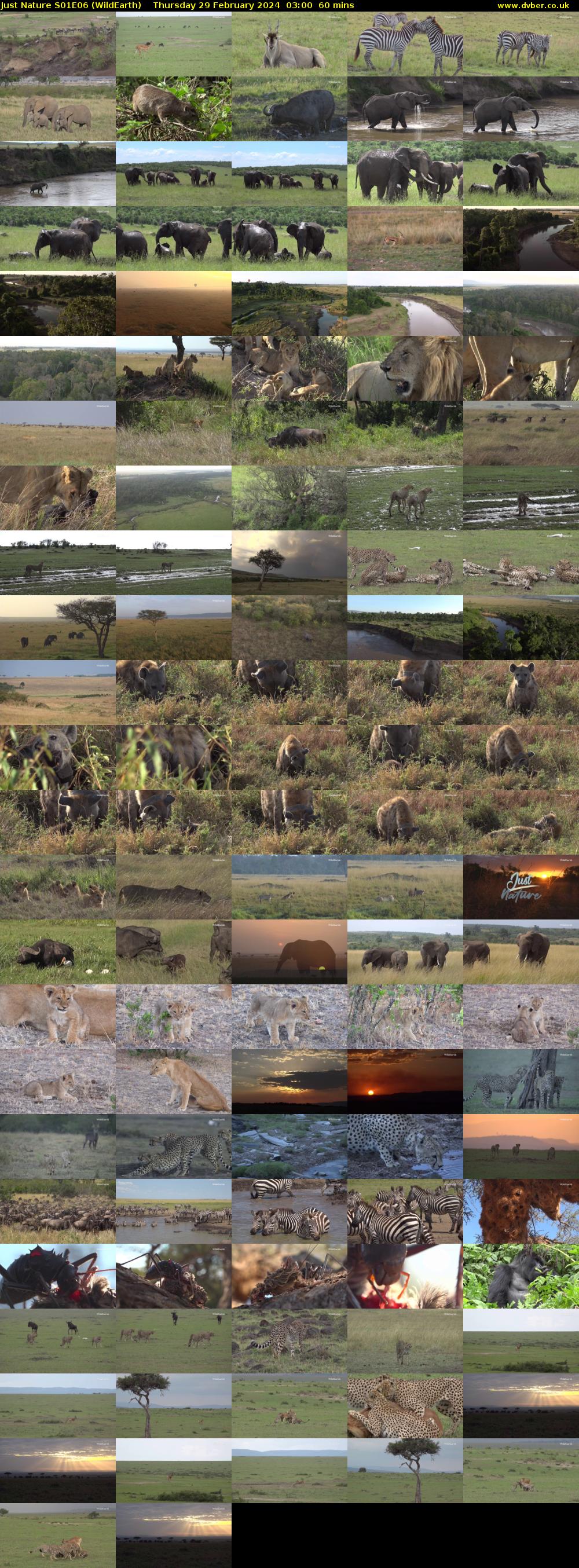 Just Nature S01E06 (WildEarth) Thursday 29 February 2024 03:00 - 04:00