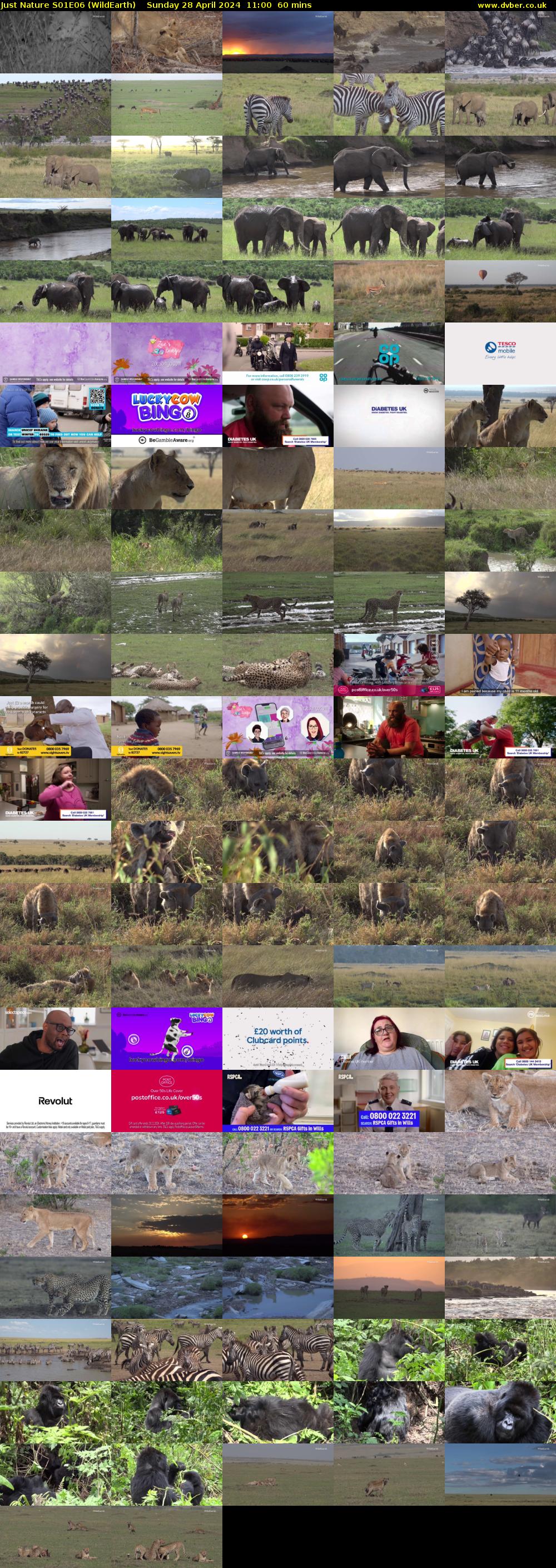 Just Nature S01E06 (WildEarth) Sunday 28 April 2024 11:00 - 12:00