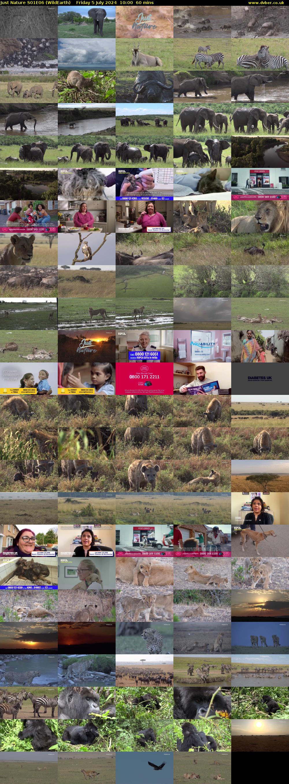 Just Nature S01E06 (WildEarth) Friday 5 July 2024 10:00 - 11:00
