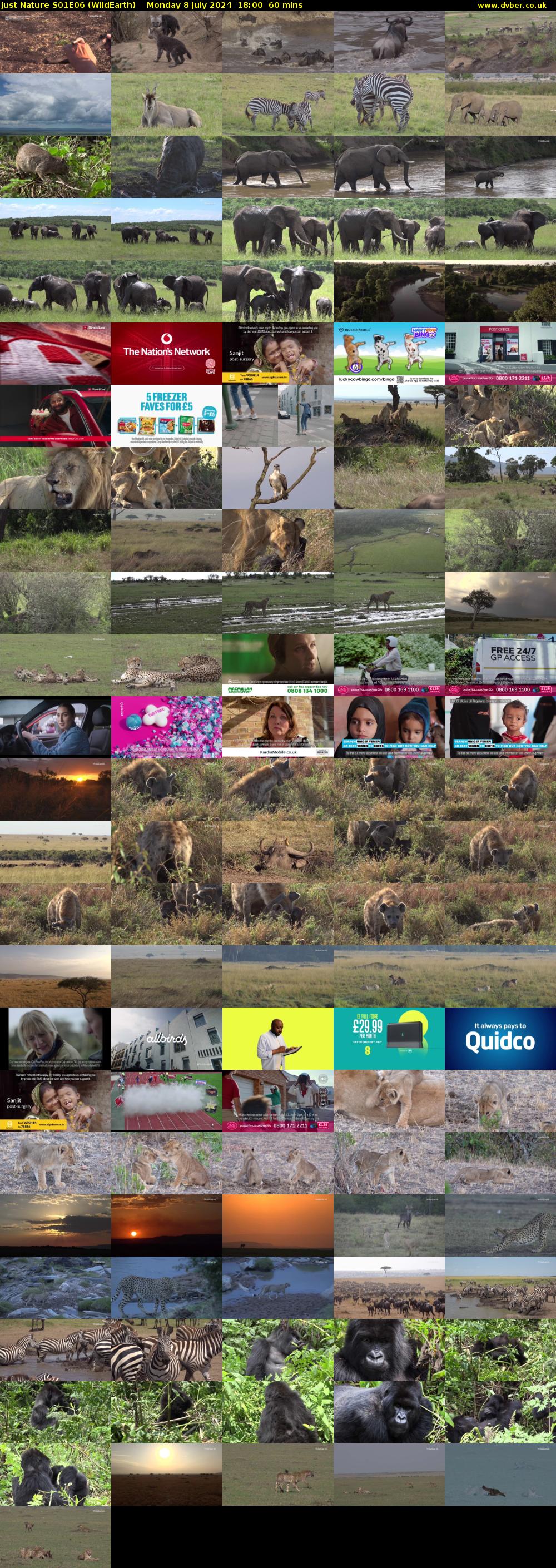 Just Nature S01E06 (WildEarth) Monday 8 July 2024 18:00 - 19:00
