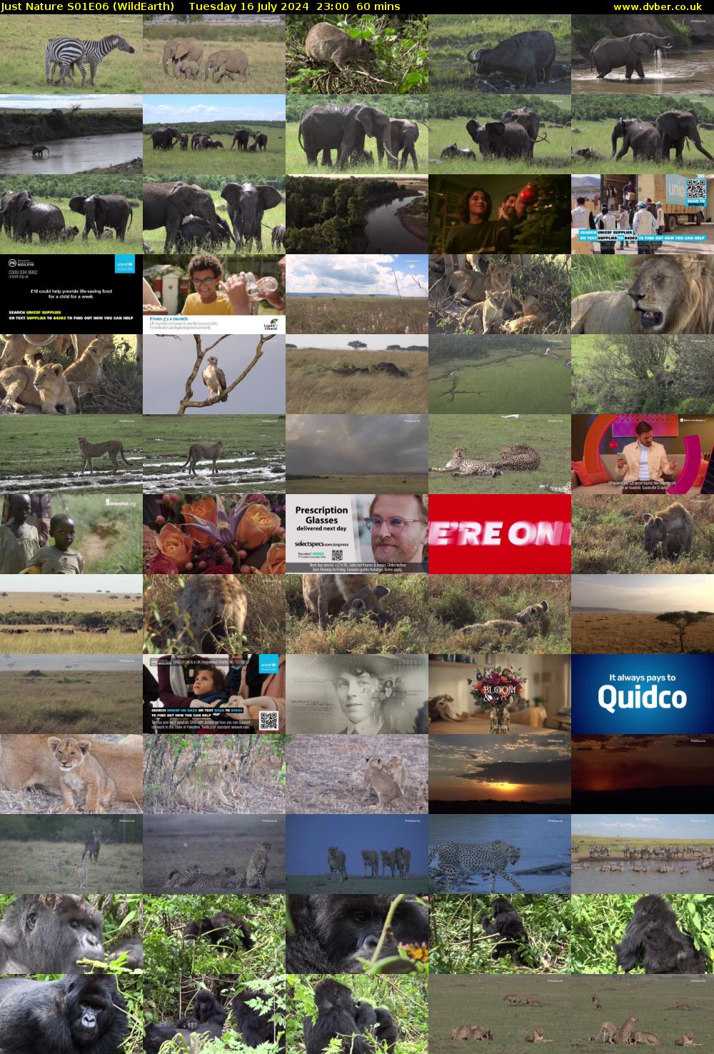 Just Nature S01E06 (WildEarth) Tuesday 16 July 2024 23:00 - 00:00