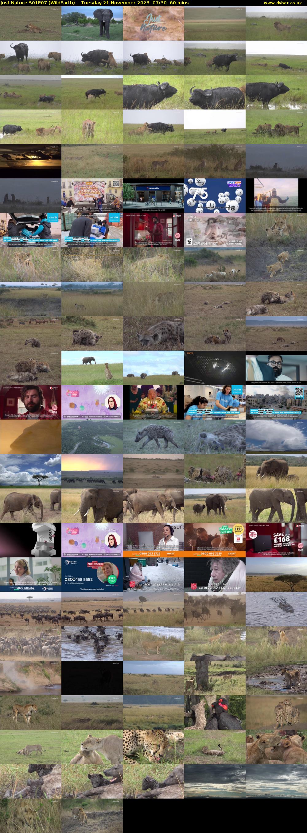 Just Nature S01E07 (WildEarth) Tuesday 21 November 2023 07:30 - 08:30