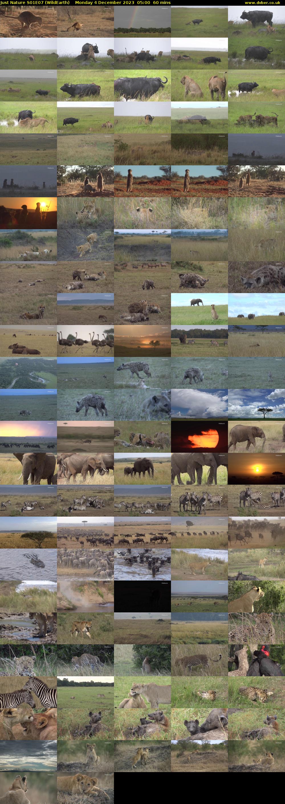 Just Nature S01E07 (WildEarth) Monday 4 December 2023 05:00 - 06:00