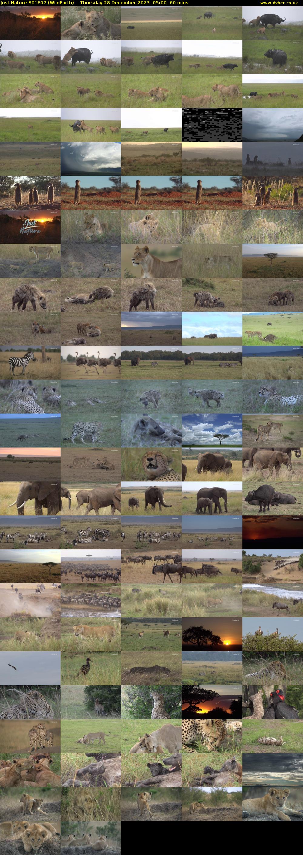 Just Nature S01E07 (WildEarth) Thursday 28 December 2023 05:00 - 06:00