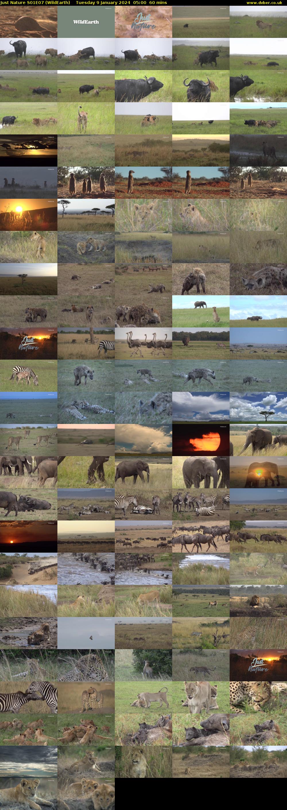 Just Nature S01E07 (WildEarth) Tuesday 9 January 2024 05:00 - 06:00