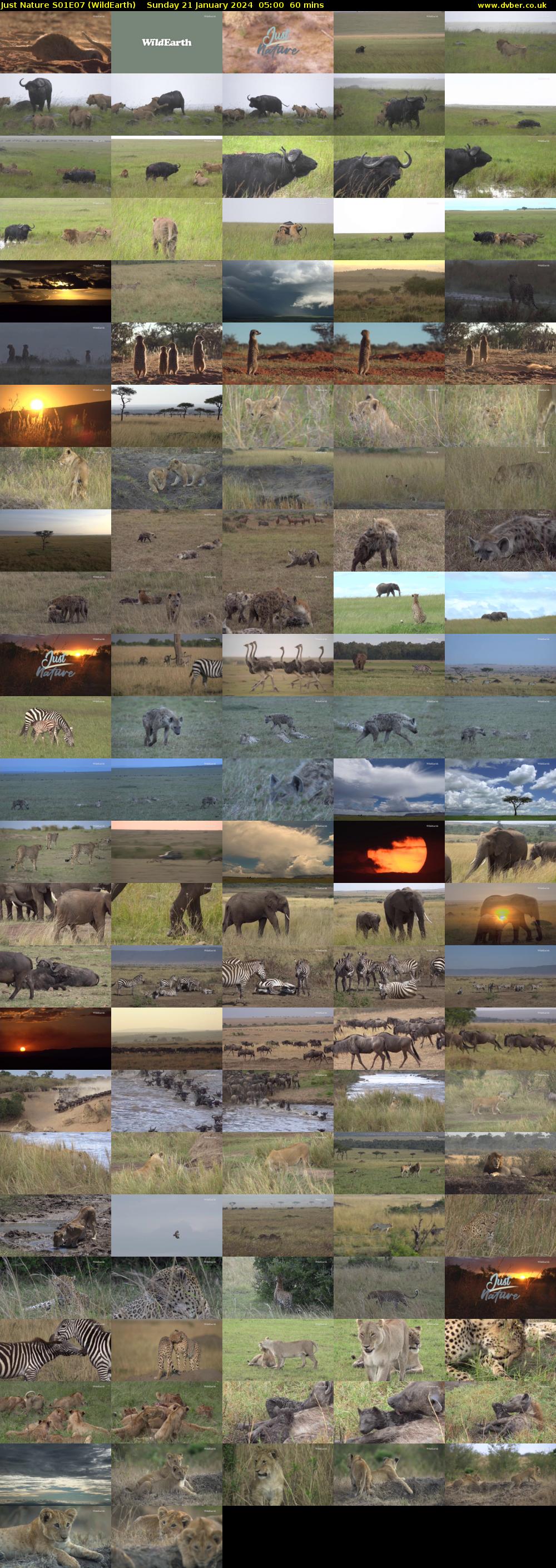 Just Nature S01E07 (WildEarth) Sunday 21 January 2024 05:00 - 06:00