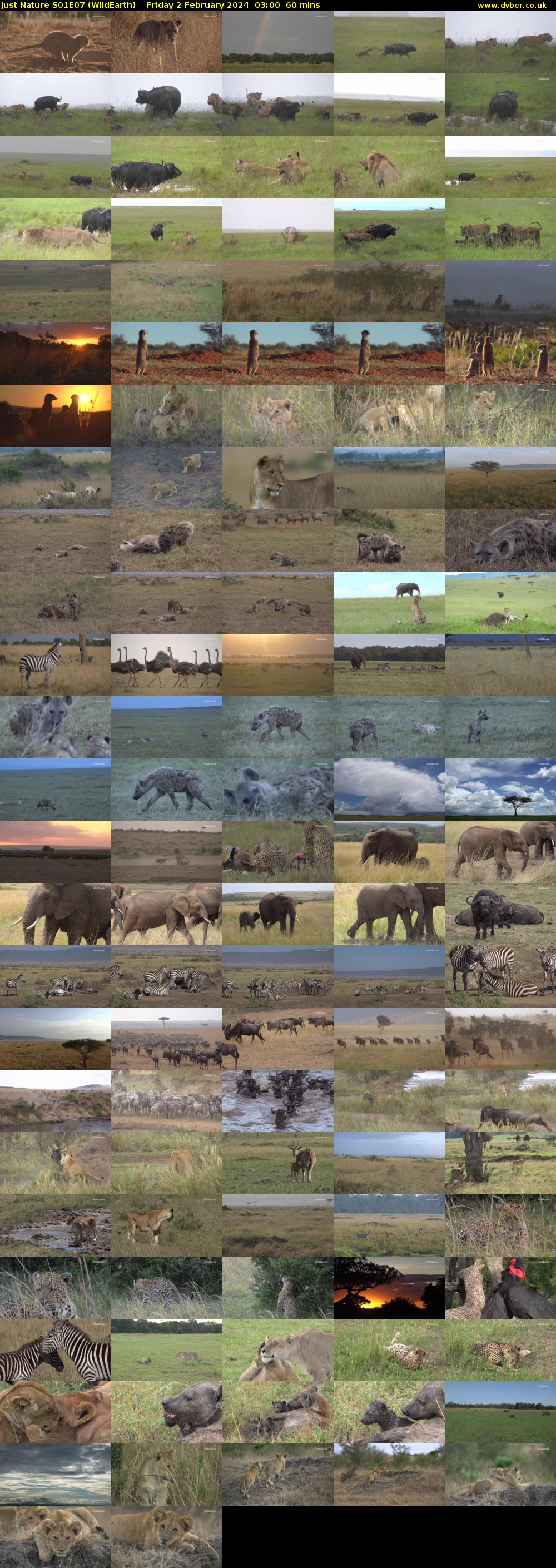 Just Nature S01E07 (WildEarth) Friday 2 February 2024 03:00 - 04:00