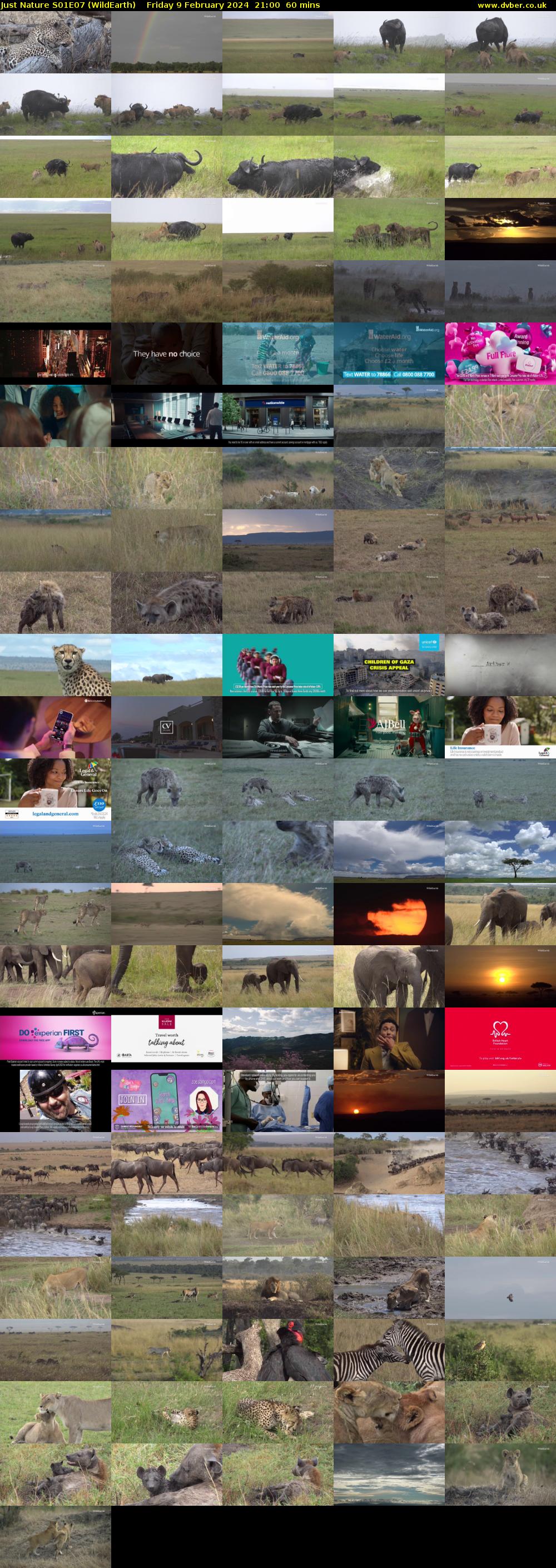 Just Nature S01E07 (WildEarth) Friday 9 February 2024 21:00 - 22:00