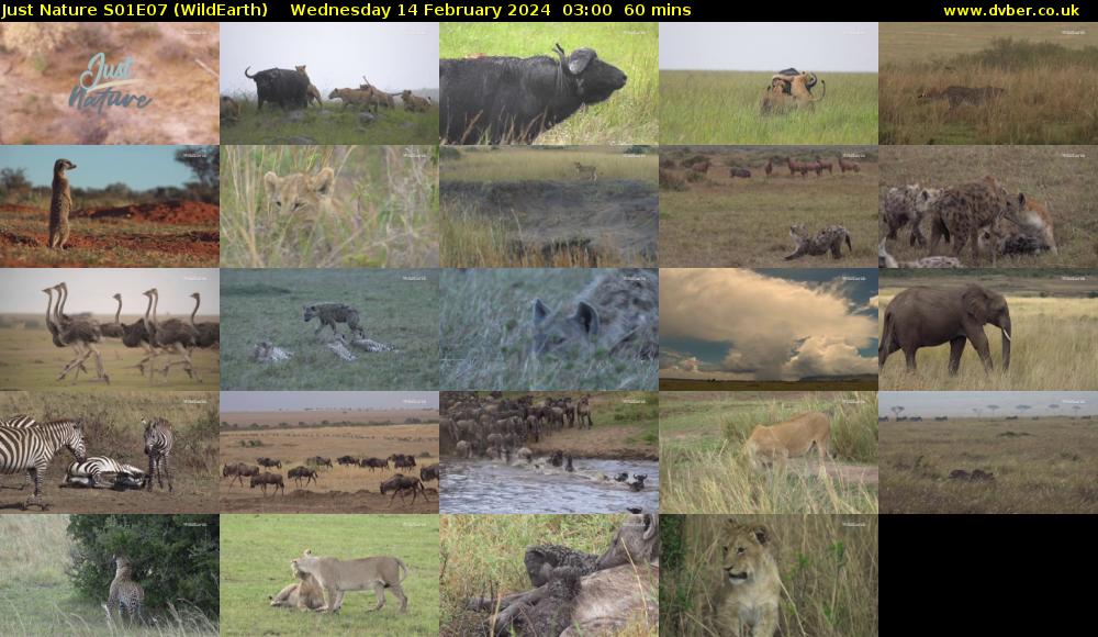 Just Nature S01E07 (WildEarth) Wednesday 14 February 2024 03:00 - 04:00