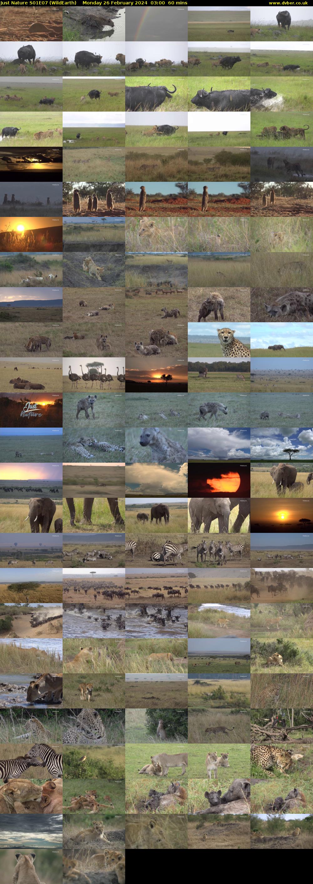 Just Nature S01E07 (WildEarth) Monday 26 February 2024 03:00 - 04:00