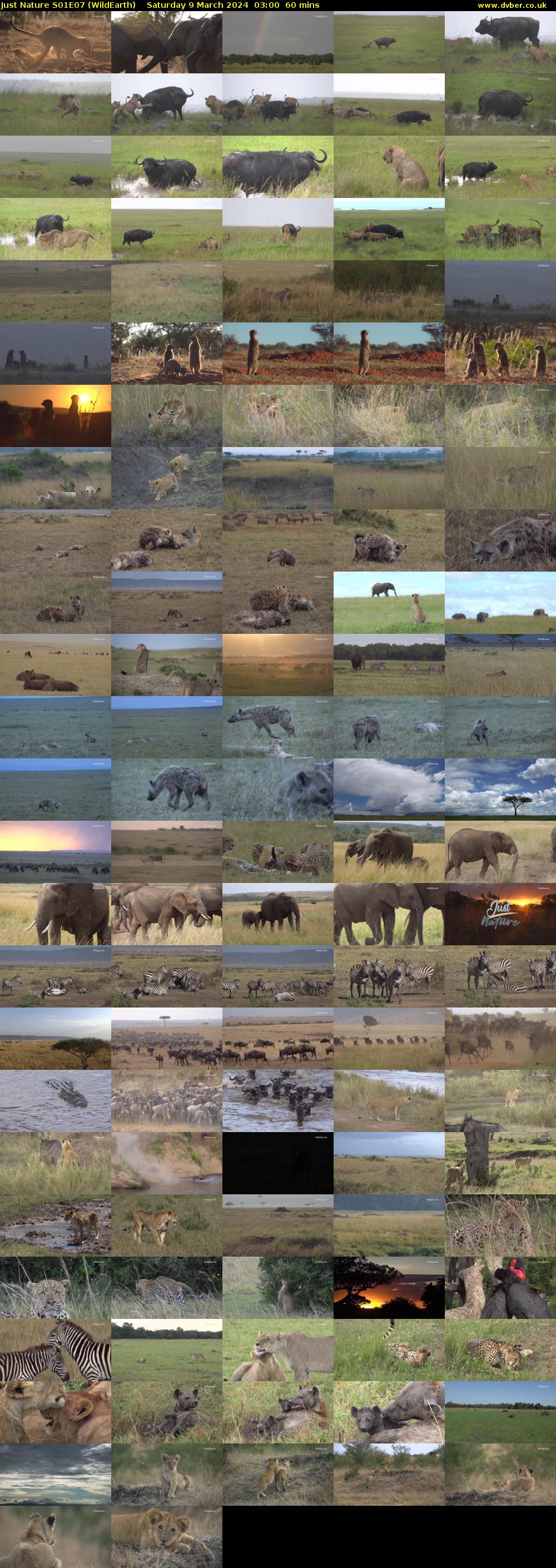 Just Nature S01E07 (WildEarth) Saturday 9 March 2024 03:00 - 04:00