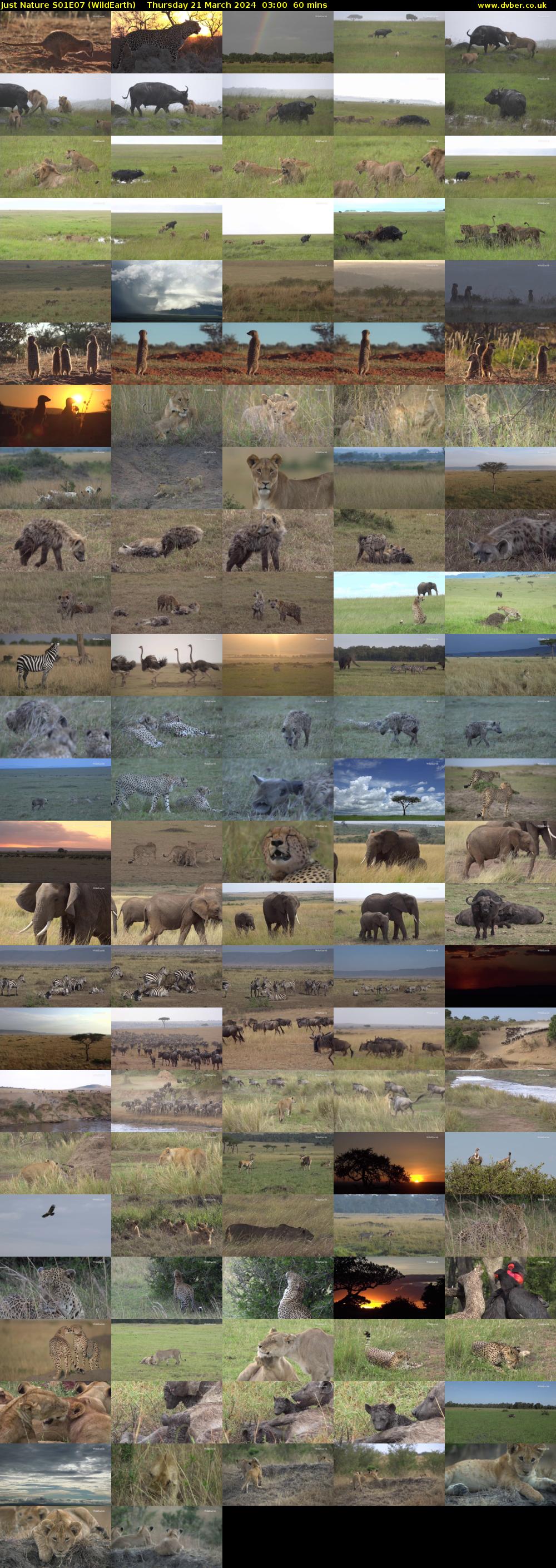 Just Nature S01E07 (WildEarth) Thursday 21 March 2024 03:00 - 04:00