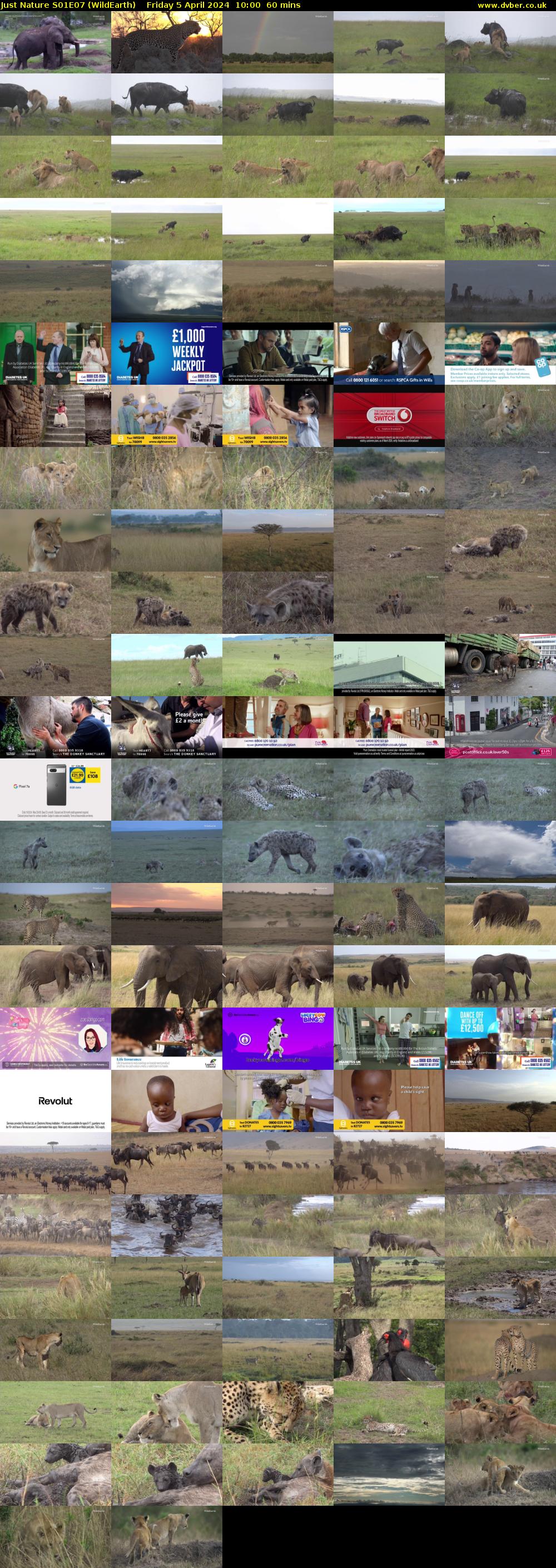Just Nature S01E07 (WildEarth) Friday 5 April 2024 10:00 - 11:00