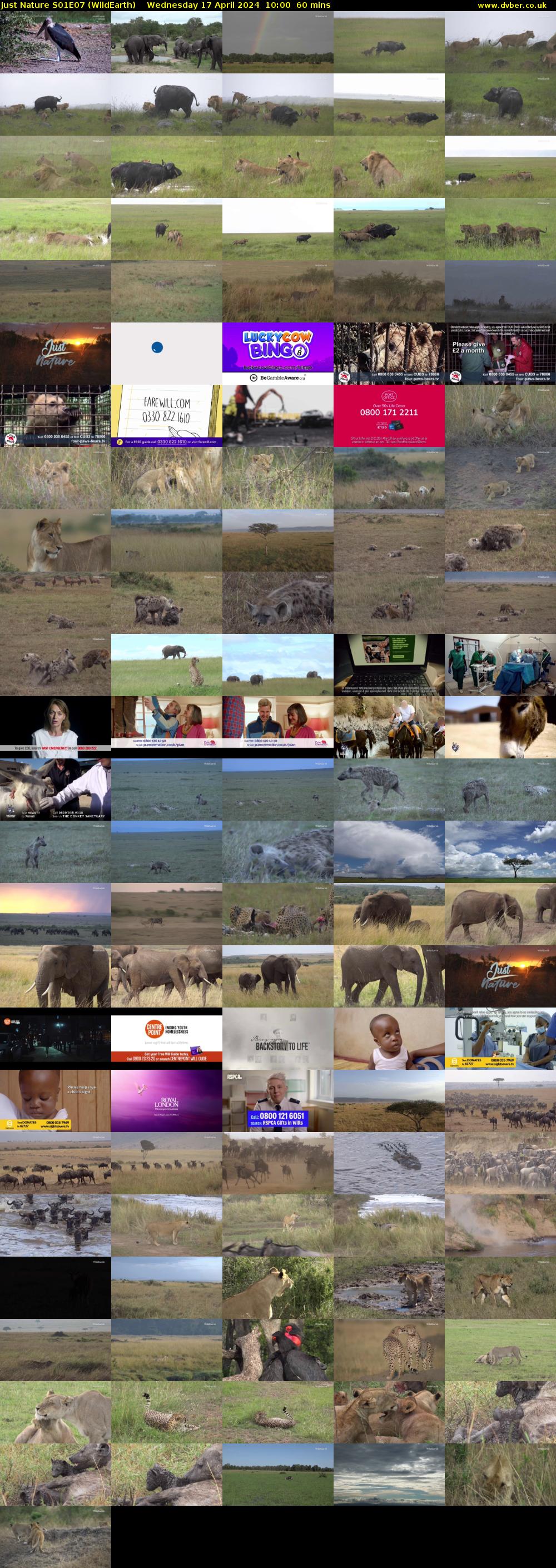 Just Nature S01E07 (WildEarth) Wednesday 17 April 2024 10:00 - 11:00