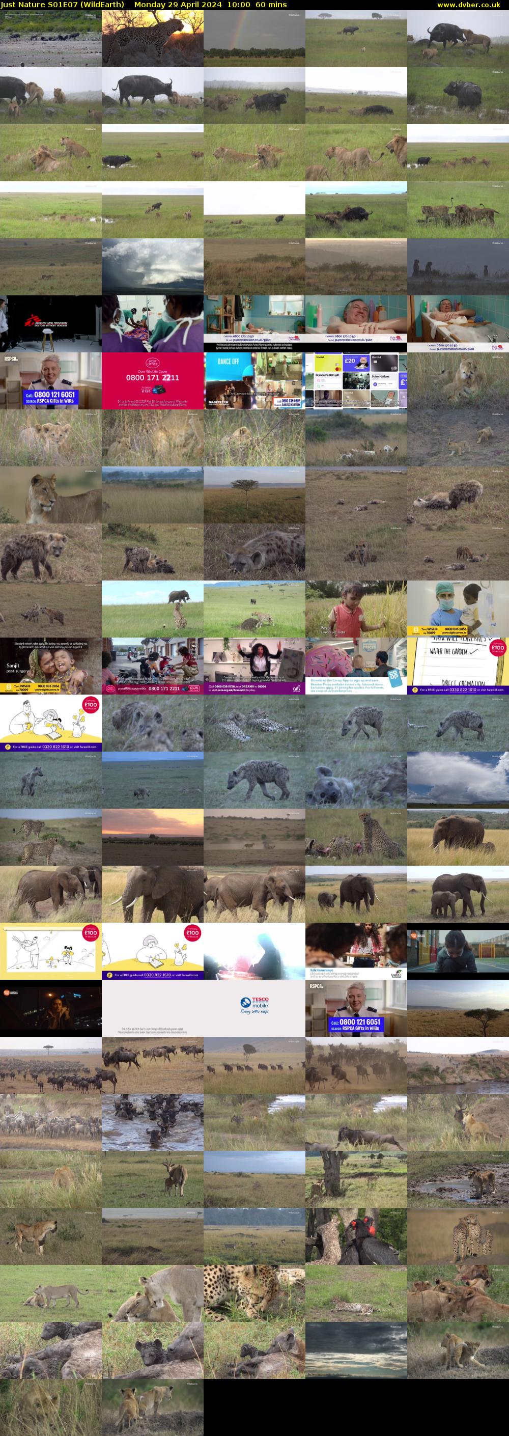 Just Nature S01E07 (WildEarth) Monday 29 April 2024 10:00 - 11:00