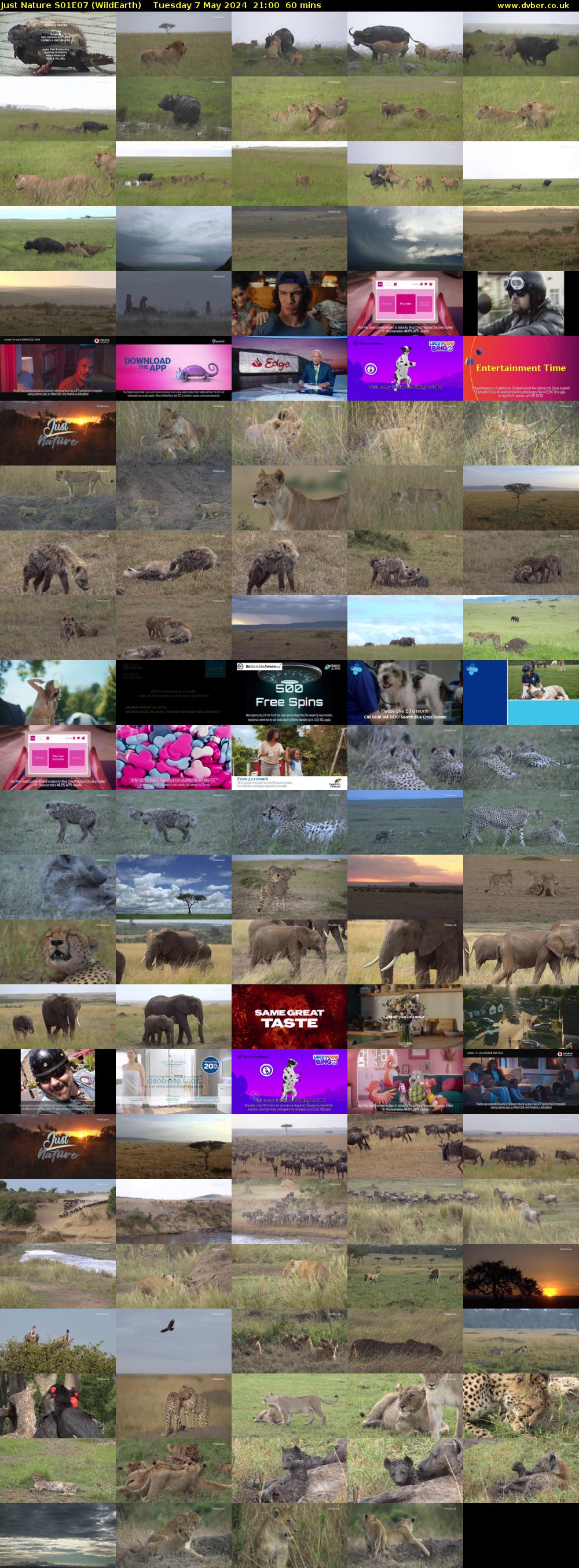 Just Nature S01E07 (WildEarth) Tuesday 7 May 2024 21:00 - 22:00