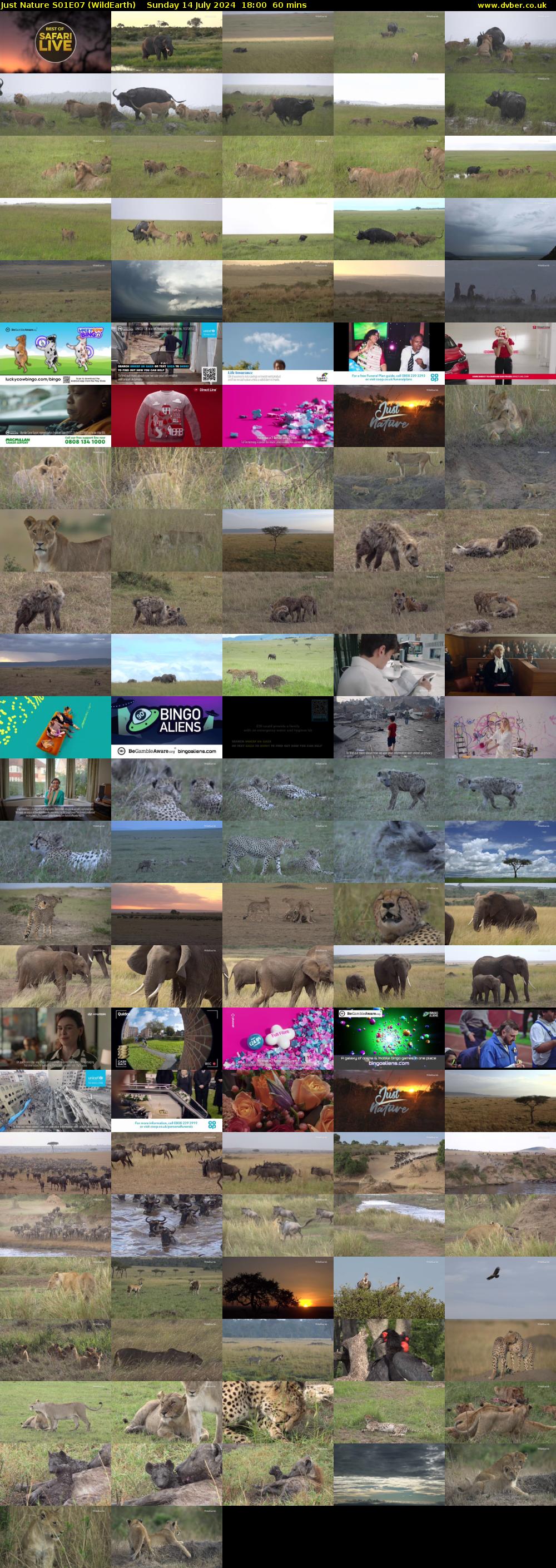 Just Nature S01E07 (WildEarth) Sunday 14 July 2024 18:00 - 19:00