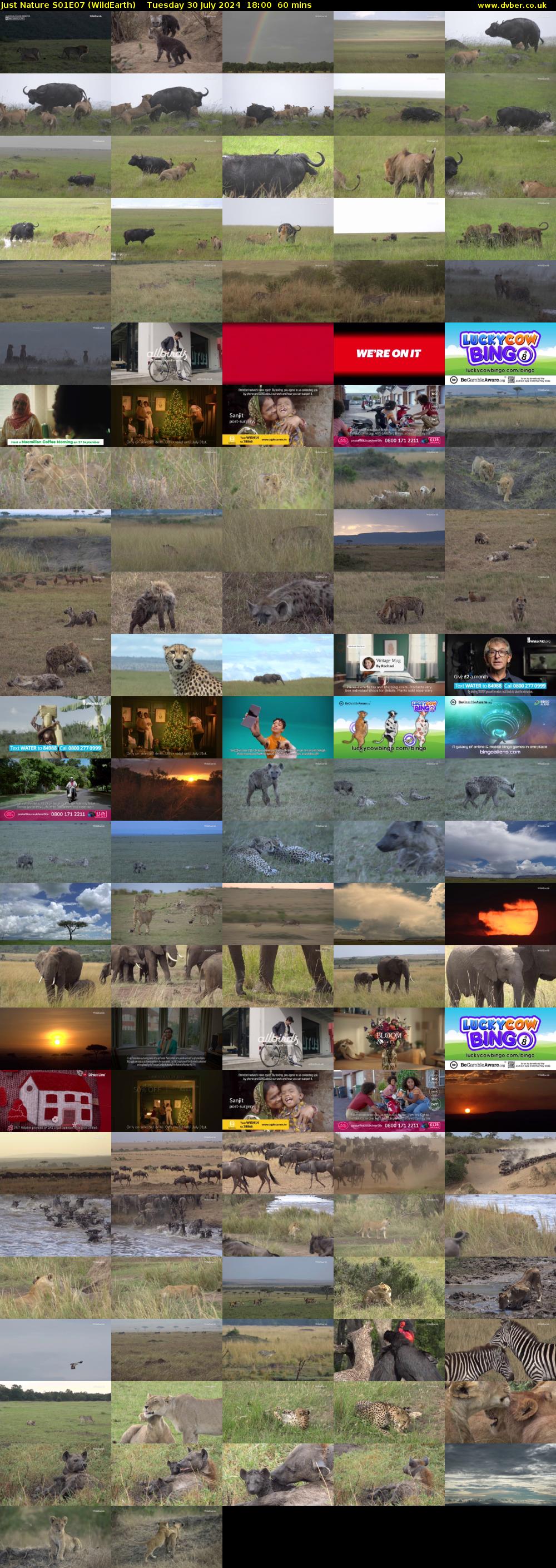 Just Nature S01E07 (WildEarth) Tuesday 30 July 2024 18:00 - 19:00