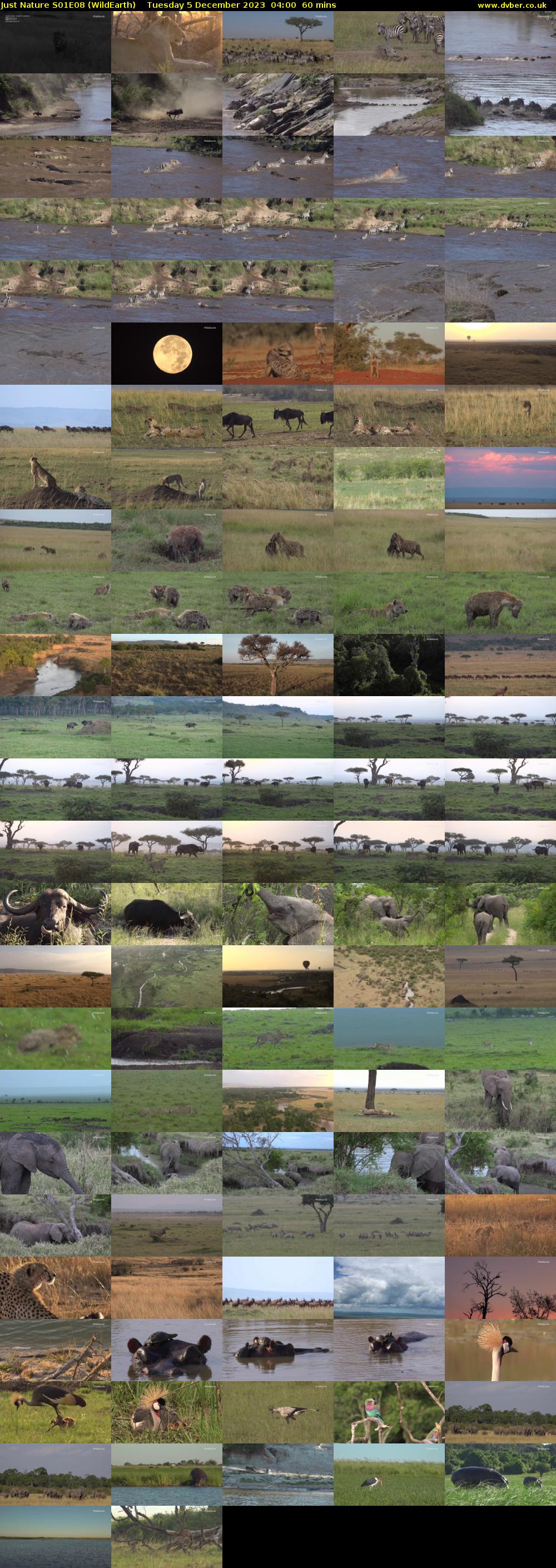 Just Nature S01E08 (WildEarth) Tuesday 5 December 2023 04:00 - 05:00