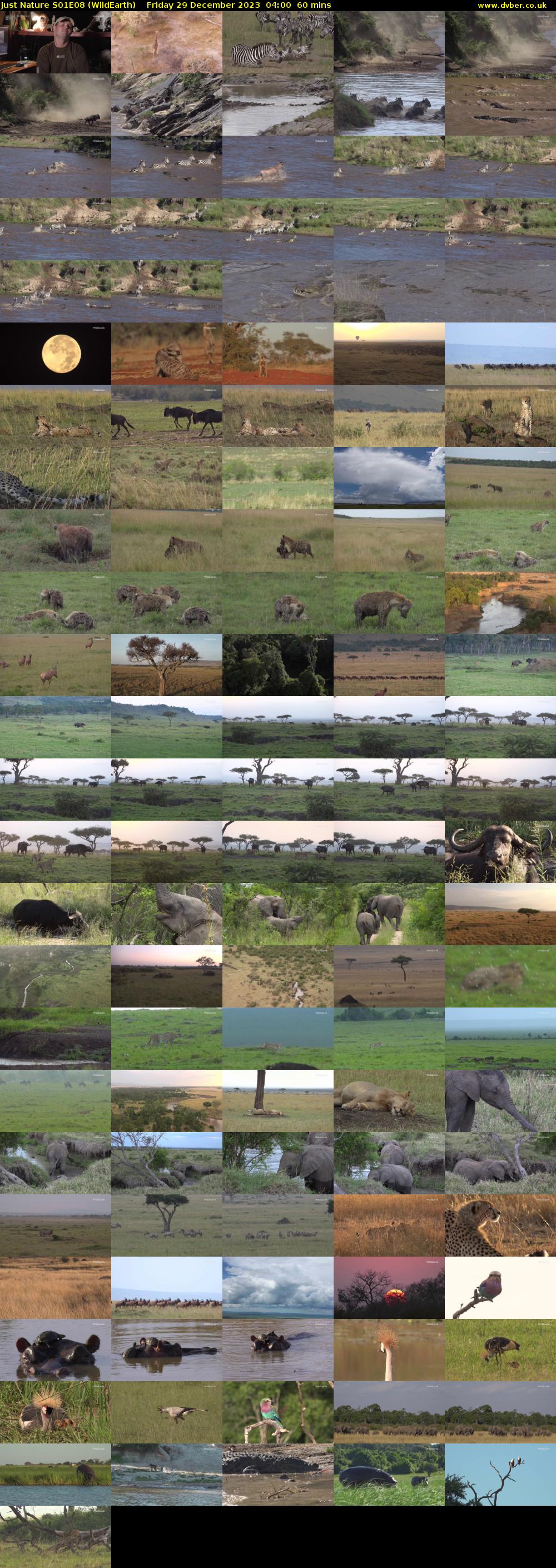Just Nature S01E08 (WildEarth) Friday 29 December 2023 04:00 - 05:00
