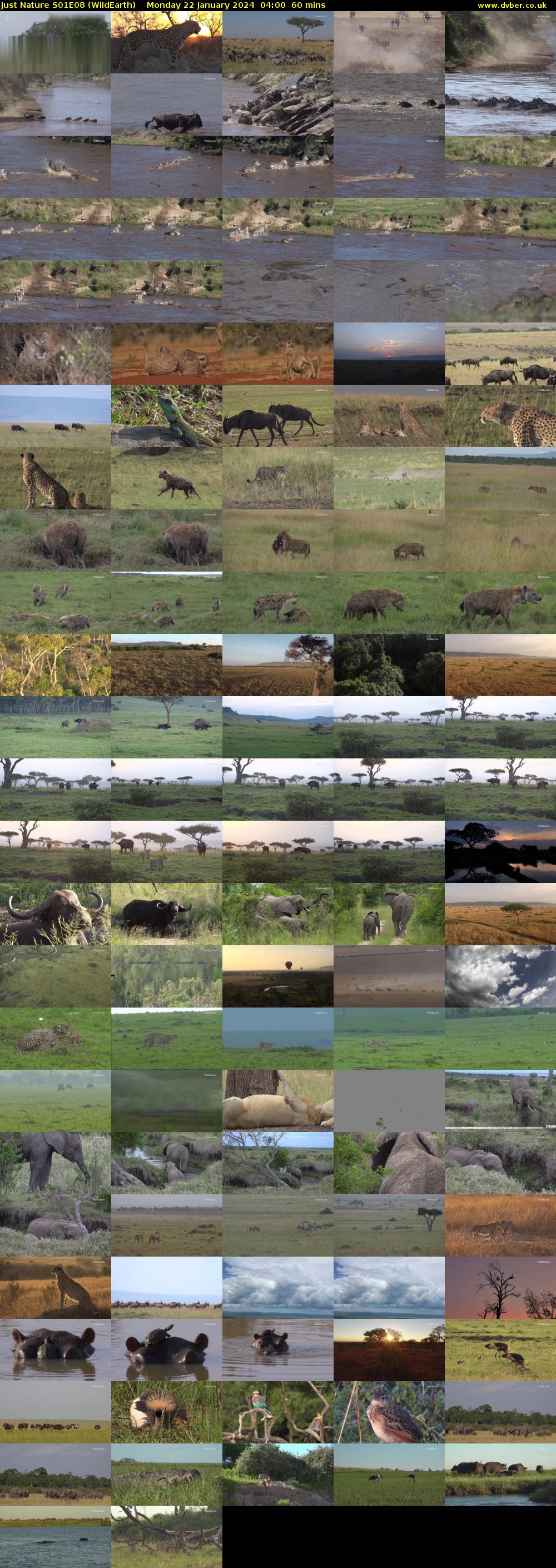 Just Nature S01E08 (WildEarth) Monday 22 January 2024 04:00 - 05:00