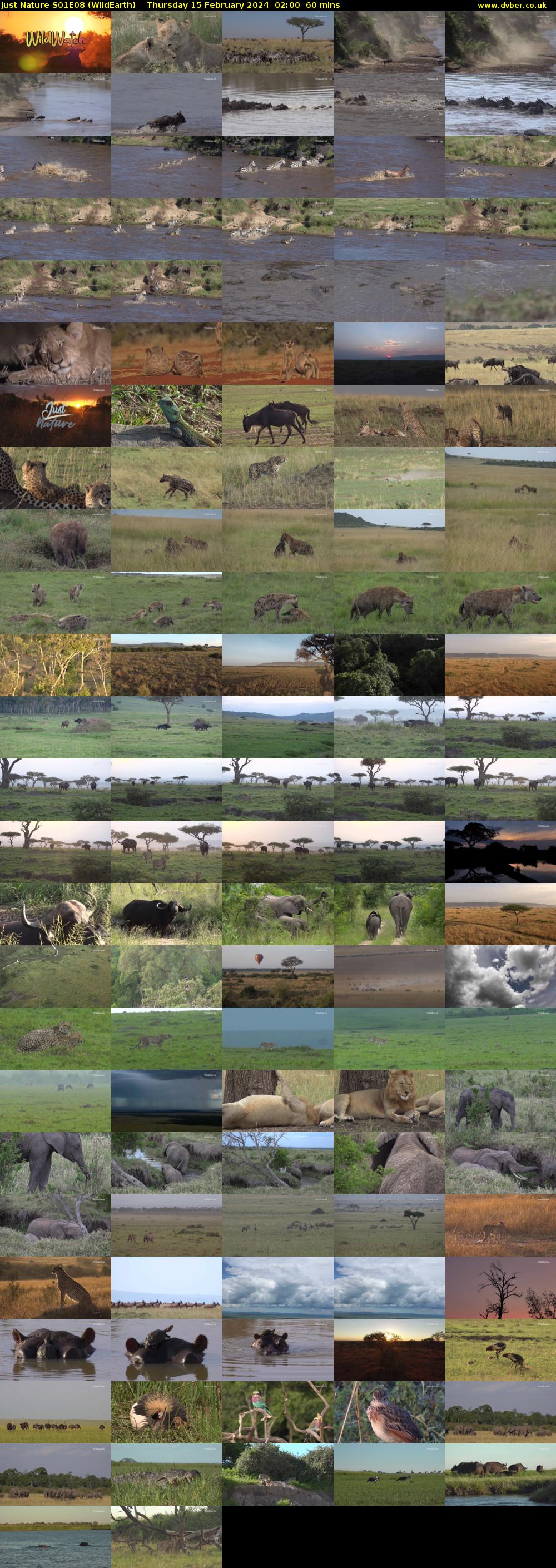 Just Nature S01E08 (WildEarth) Thursday 15 February 2024 02:00 - 03:00