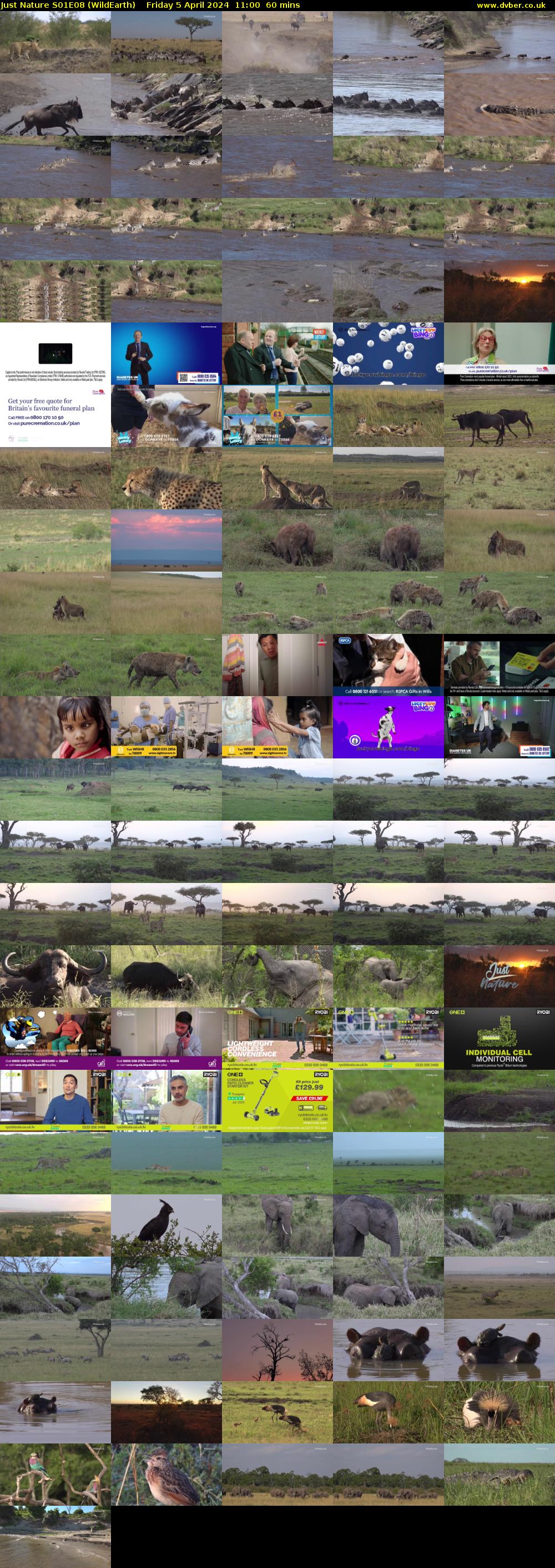 Just Nature S01E08 (WildEarth) Friday 5 April 2024 11:00 - 12:00