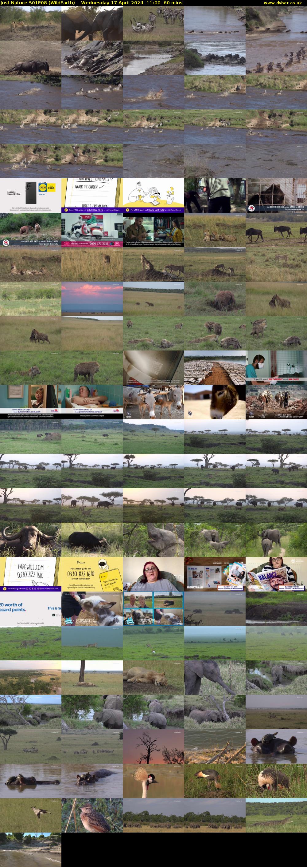 Just Nature S01E08 (WildEarth) Wednesday 17 April 2024 11:00 - 12:00