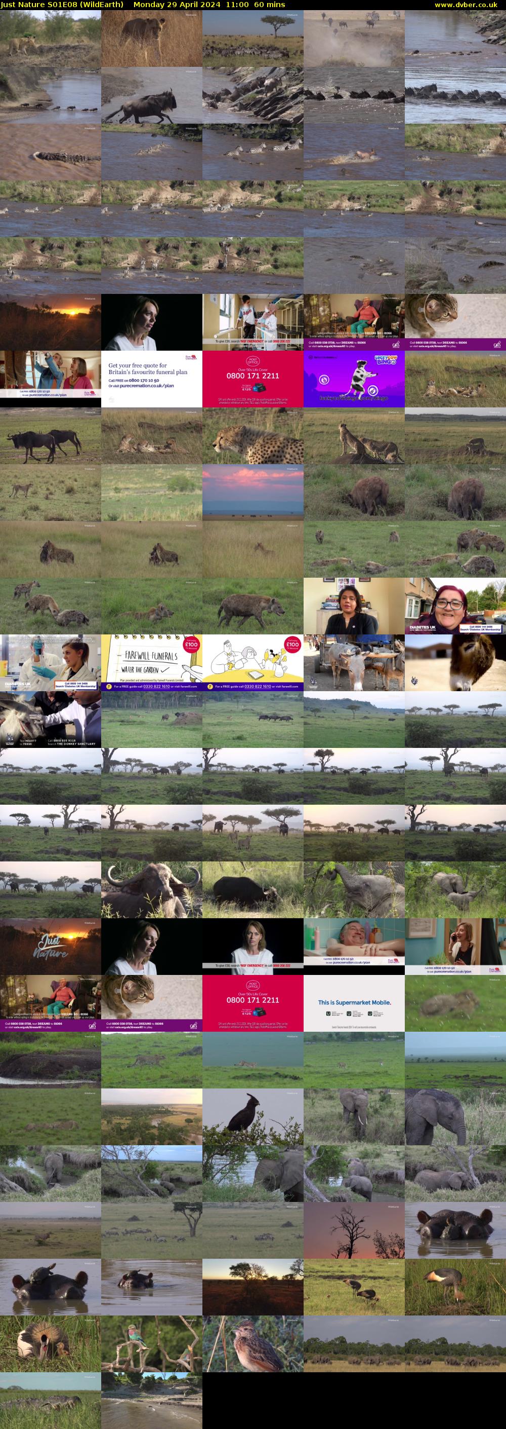 Just Nature S01E08 (WildEarth) Monday 29 April 2024 11:00 - 12:00