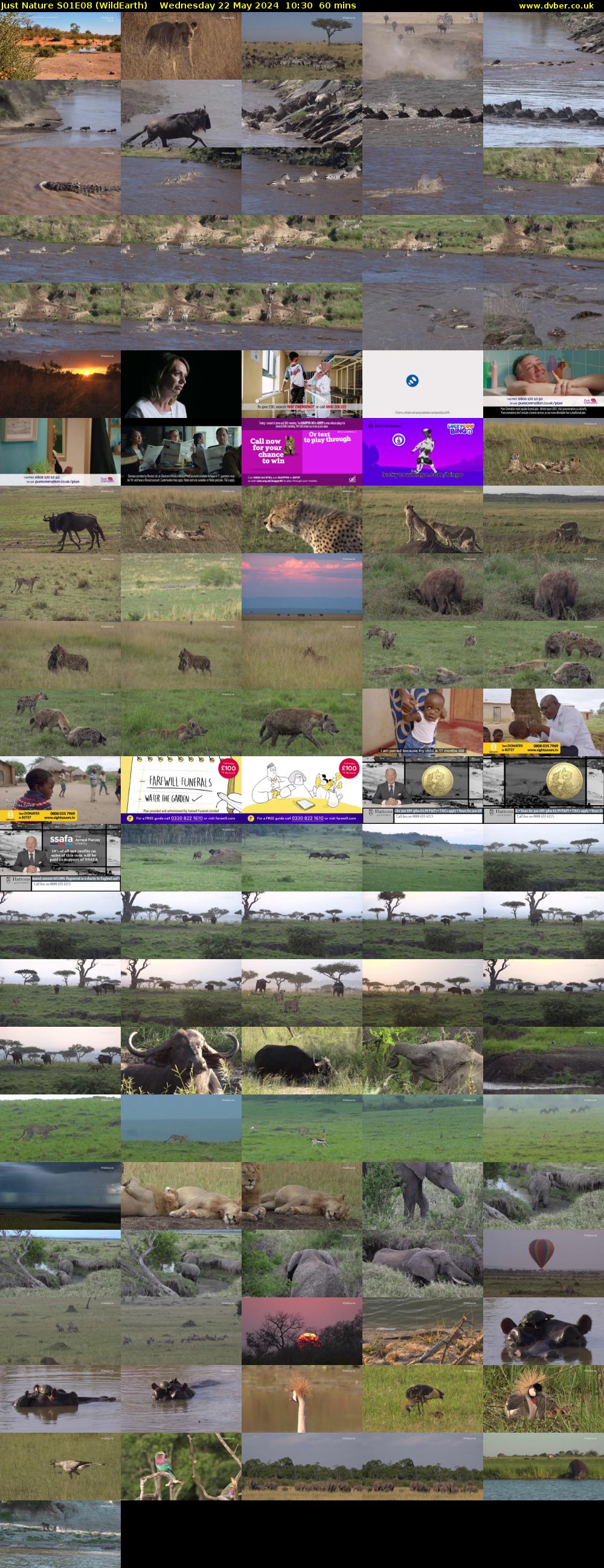 Just Nature S01E08 (WildEarth) Wednesday 22 May 2024 10:30 - 11:30